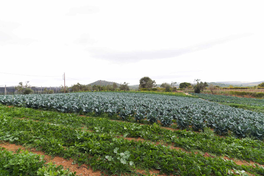 iYnXphSB_0134-Efzin-scaled (1).jpg